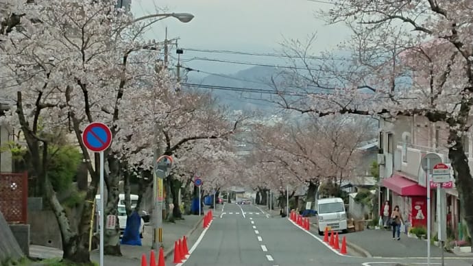 春なのに寒い