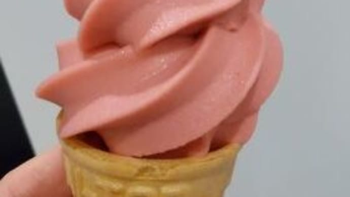 冬時期こそアイス?2種類のソフトクリームを食べ比べ