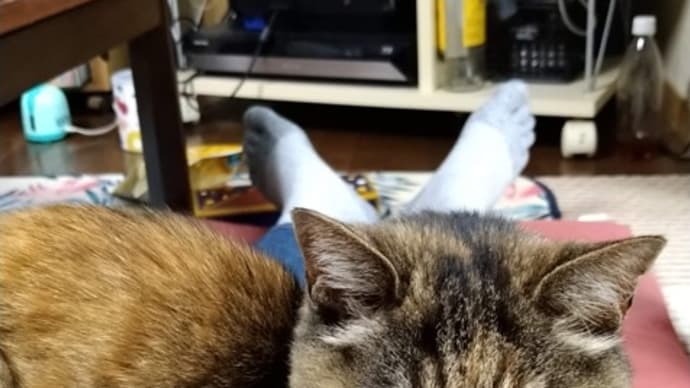 とりとめのない一日