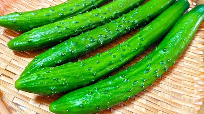夏が来た!?