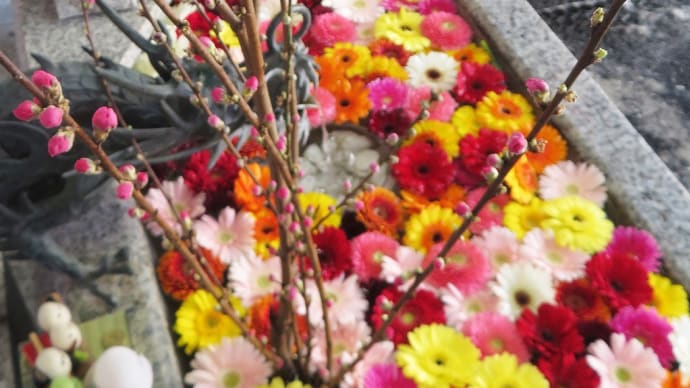 桃の節句の花手水です!~札幌諏訪神社~