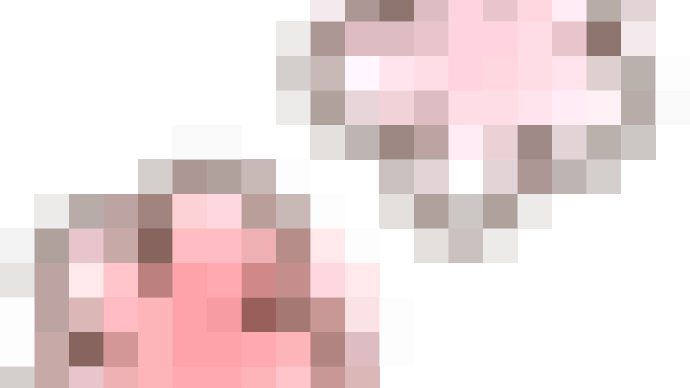 ドットで何を描く?