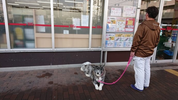 どこでも寝るよ