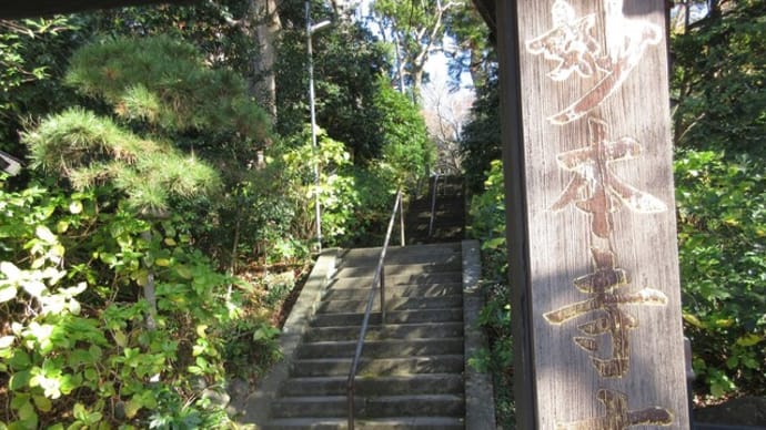 鎌倉 妙本寺の紅葉