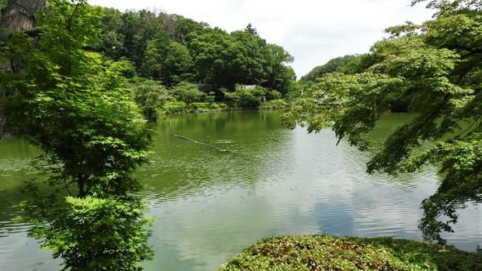 「町田薬師池公園」の「水車」と「薬師池」と「旧永井家住宅」!!