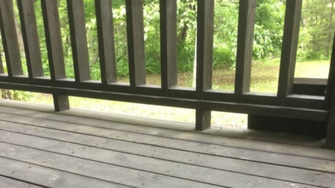 外履き用のサンダル