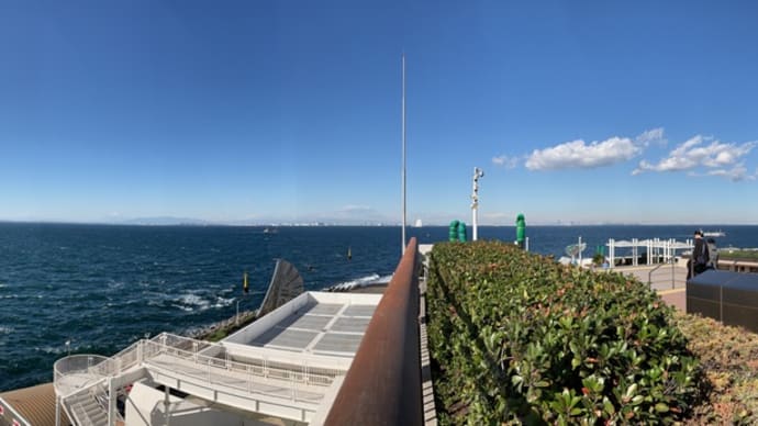 海ほたる 新物落花生 Nov 2024