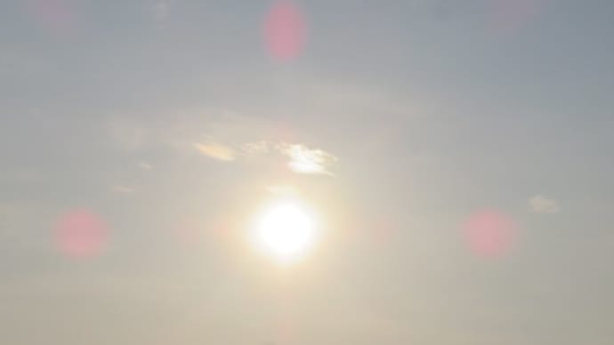 夏らしいっちゃ夏らしい