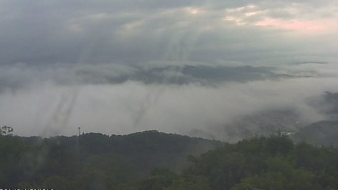 梅雨入りの霧の海
