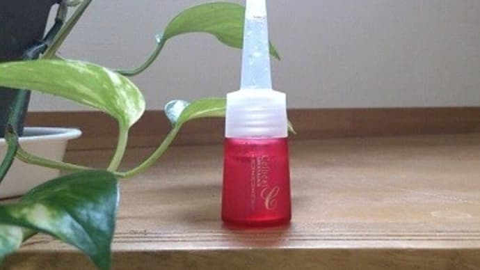 ♪生コラーゲン♪