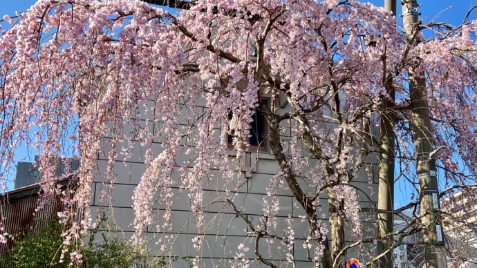 未来志向は現か幻かそれとも・・・