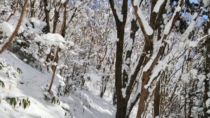 雪山ハイキング