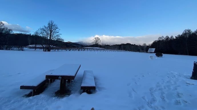 雪舞っています