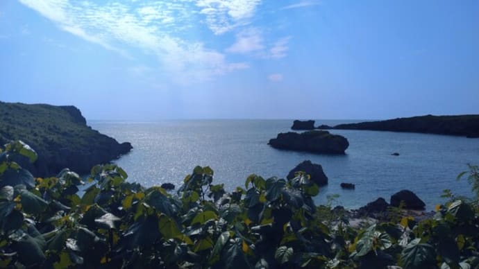 これからの暑い夏の熱中症対策について