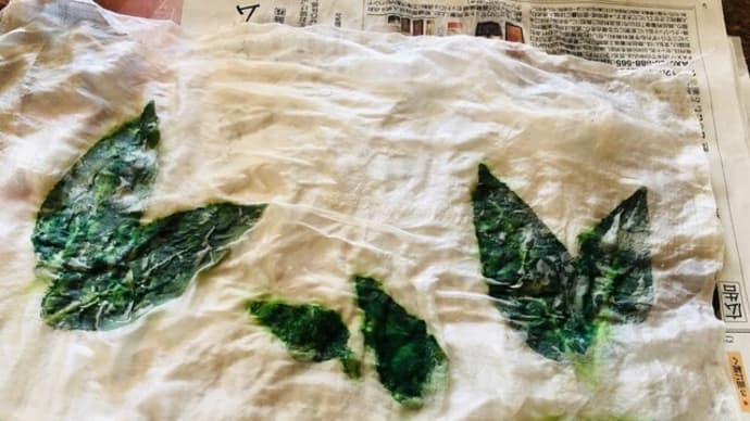 藍の生葉染め