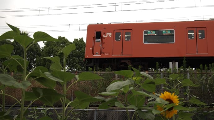 JR桜島線（JRゆめ咲線） 