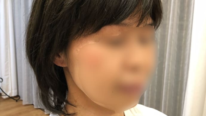 たくさんのご紹介