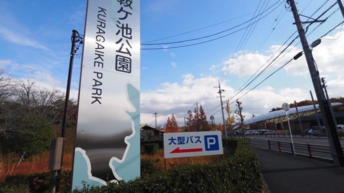 孫がやっと、帰って行きました