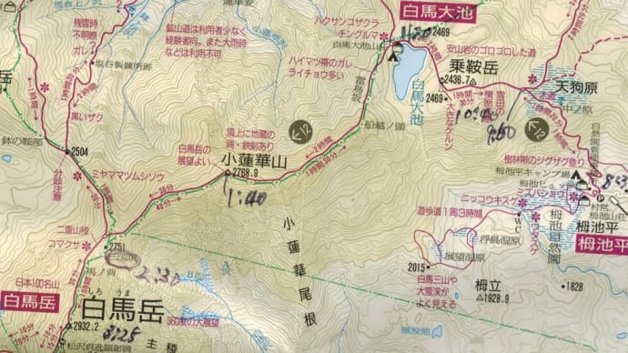 No.259 白馬大池