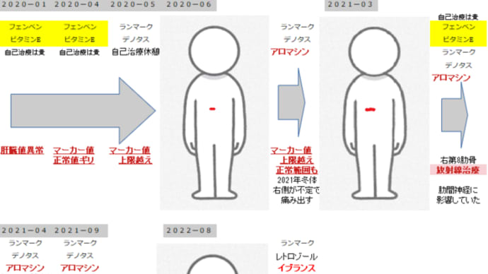 治療記録まとめ2022夏