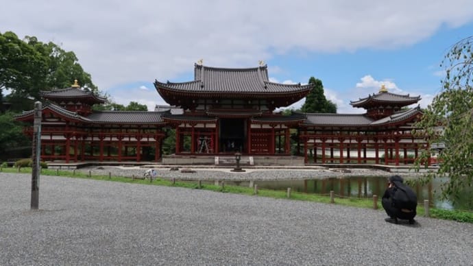 2021年6月平等院から三室戸寺あじさい園へ