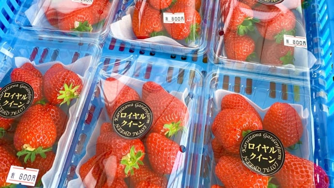 #ロイヤルクイーンの直売🍓