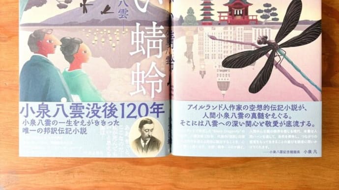 伝記小説『黒い蜻蛉』