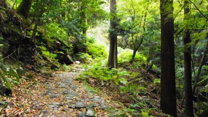 2024年11月27日(水)の「滝坂の道」と「春日大社・東大寺」(4)