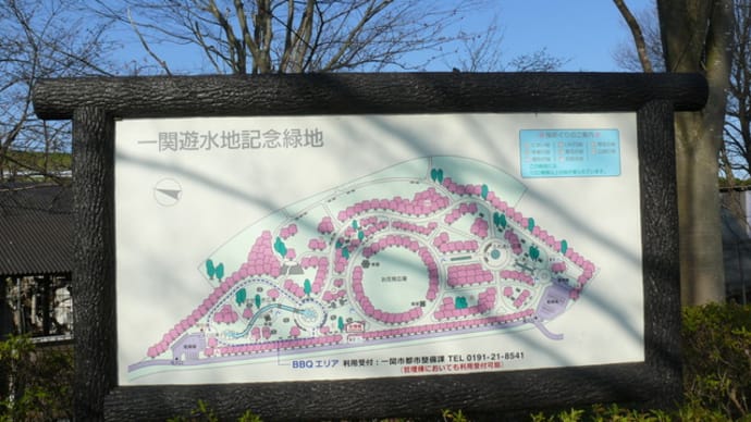 一関遊水地記念緑地のムクドリ（椋鳥）2019年4月18日（木）