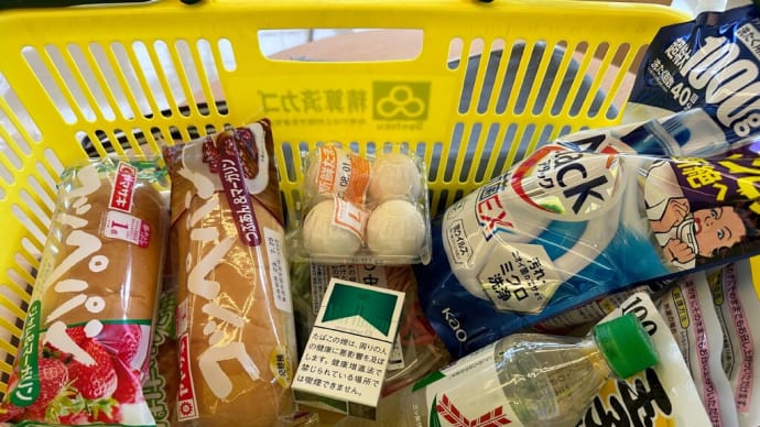 大イベント明けの日曜日 ガンガンに晴れ