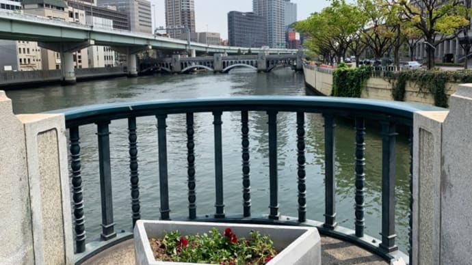 【シャンパン食堂の洋食屋さん】 Bランチ『チキンカツ(自家製タルタルソース)』 大阪市役所の北側 大阪市北区