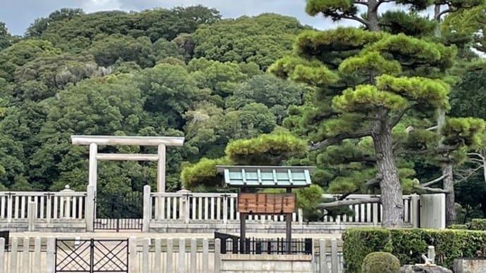 再びの大仙公園の彼岸花
