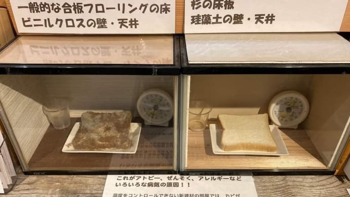 「親子でマナブ木のチカラ」本日開催します❗