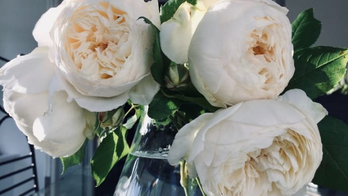 薔薇の名はオールド・イングランド