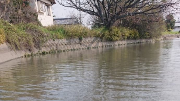 荘内半島〜父母ケ浜〜一の宮公園~財田〜まんのう_105キロ_2024/3/30(土)