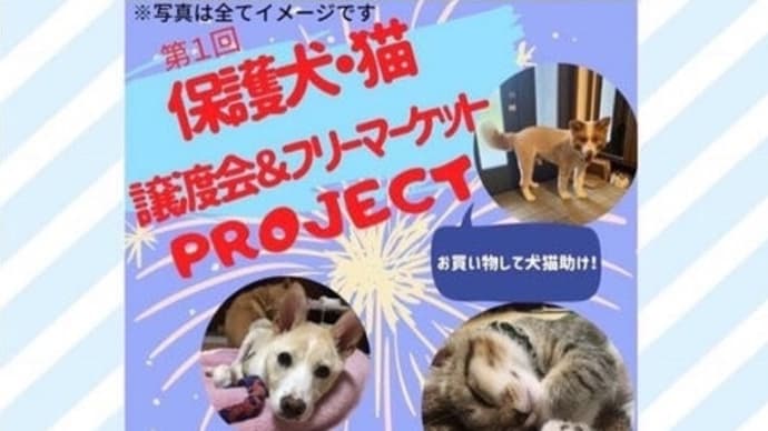 明日は譲渡会