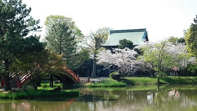 #8598 金沢文庫 称名寺🌸