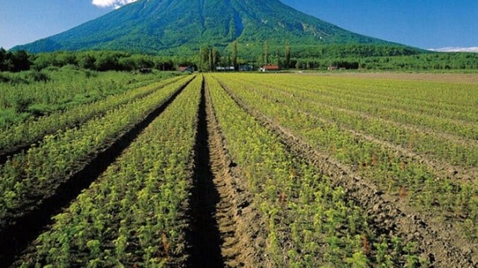 北海道低山紀行100座登頂を振り返って