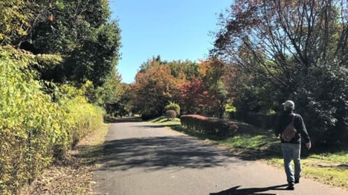 小山田緑地をゆっくり
