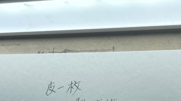 つるっと剥いたら 皆んなおんなじ