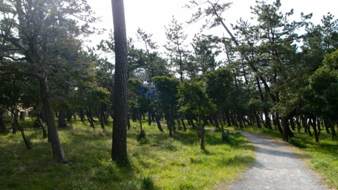 川根温泉は本日休館