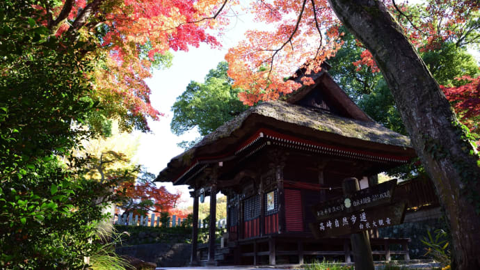 高崎 少林山達磨寺