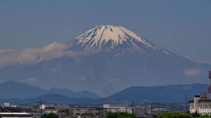 14/May    富士山とシャクヤクとアヤメとカワセミとコチドリとツバメ