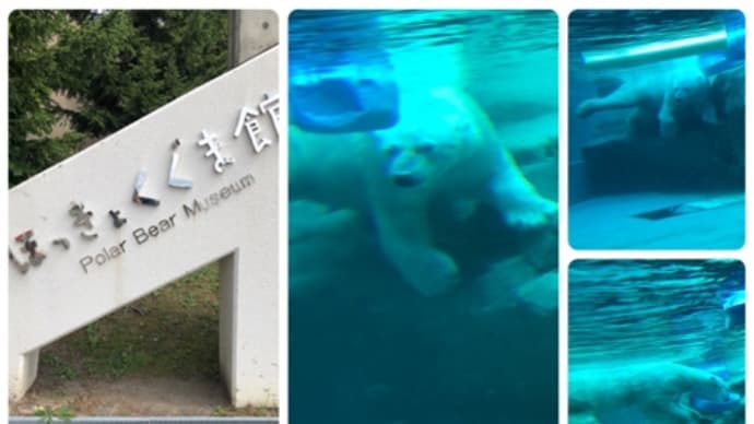北海道の旅　12