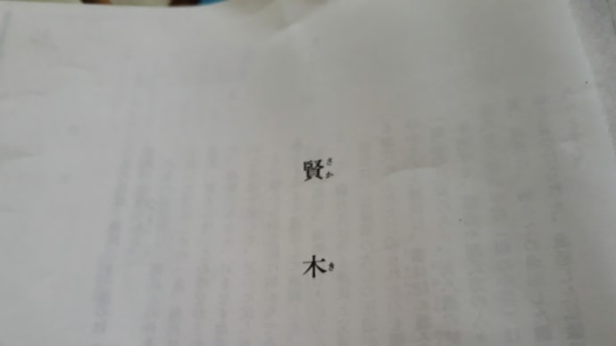 源氏物語を楽しむ
