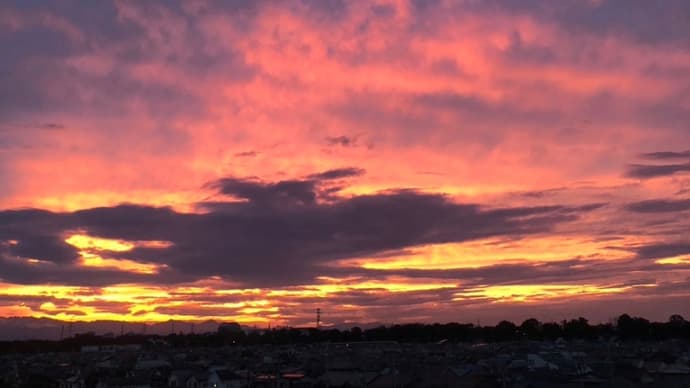 akkutyのお散歩✨夕焼け