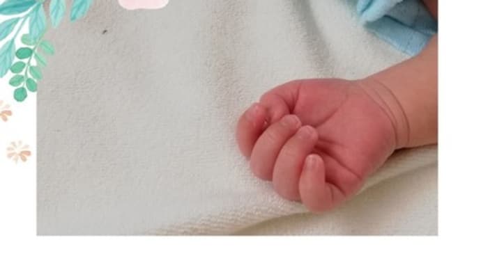 孫二号誕生しました