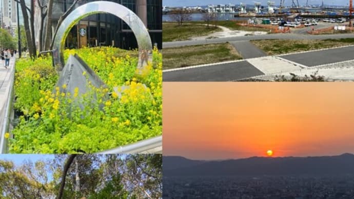 与謝蕪村の菜の花の句 250年