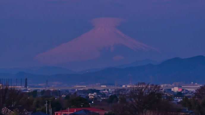 15/Feb 朝焼けの富士山🗻と河津桜と沈丁花と菜の花とカワセミ