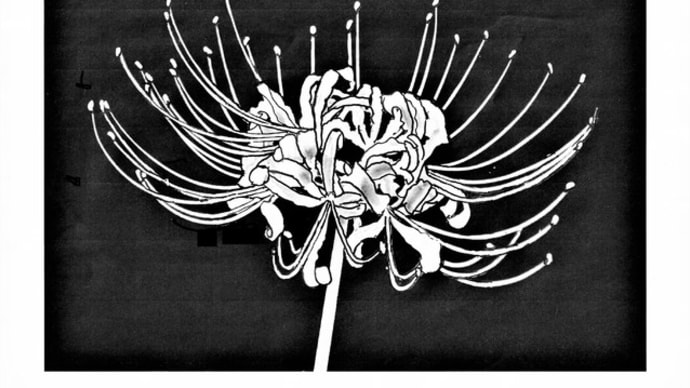 9月の課題「彼岸花」の切り絵の下絵